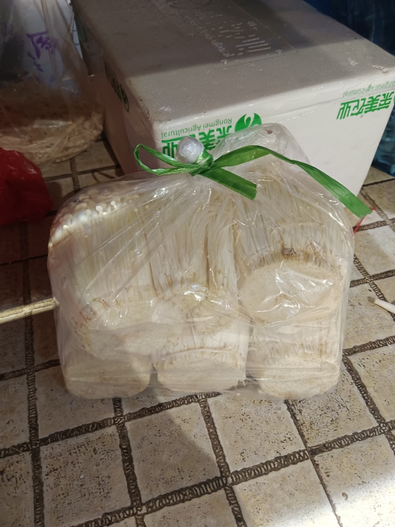 金针菇