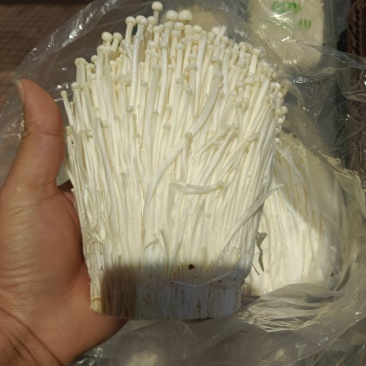 金针菇