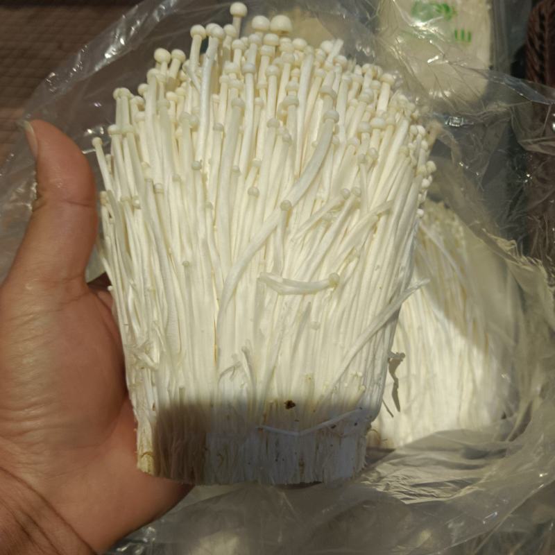 金针菇