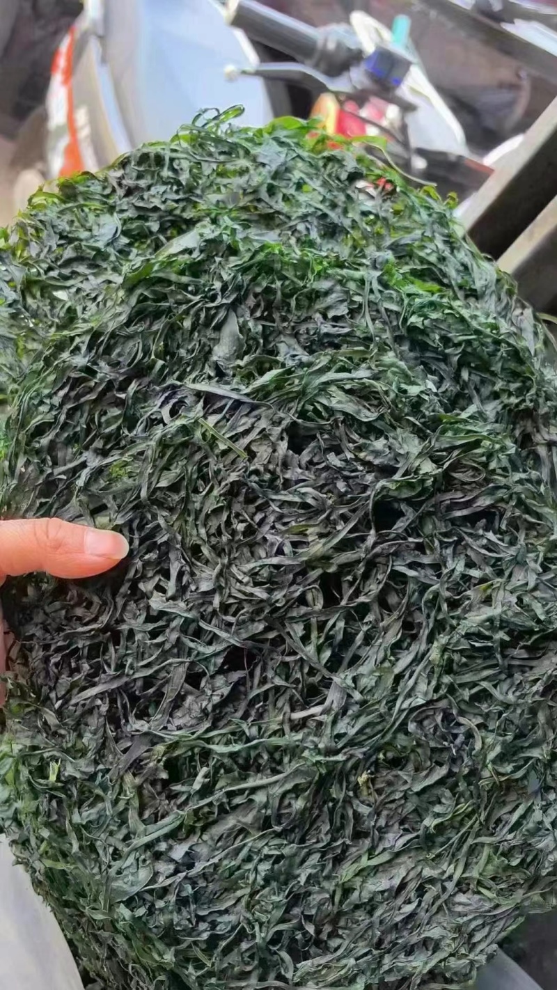 烘干圈圈海带丝颜色绿无沙无盐泡发率高10元模