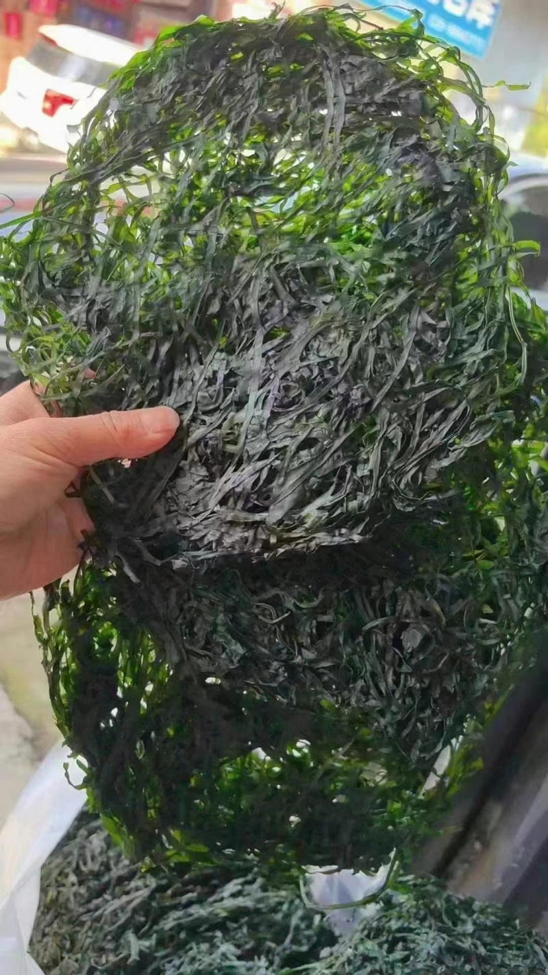 烘干圈圈海带丝颜色绿无沙无盐泡发率高10元模