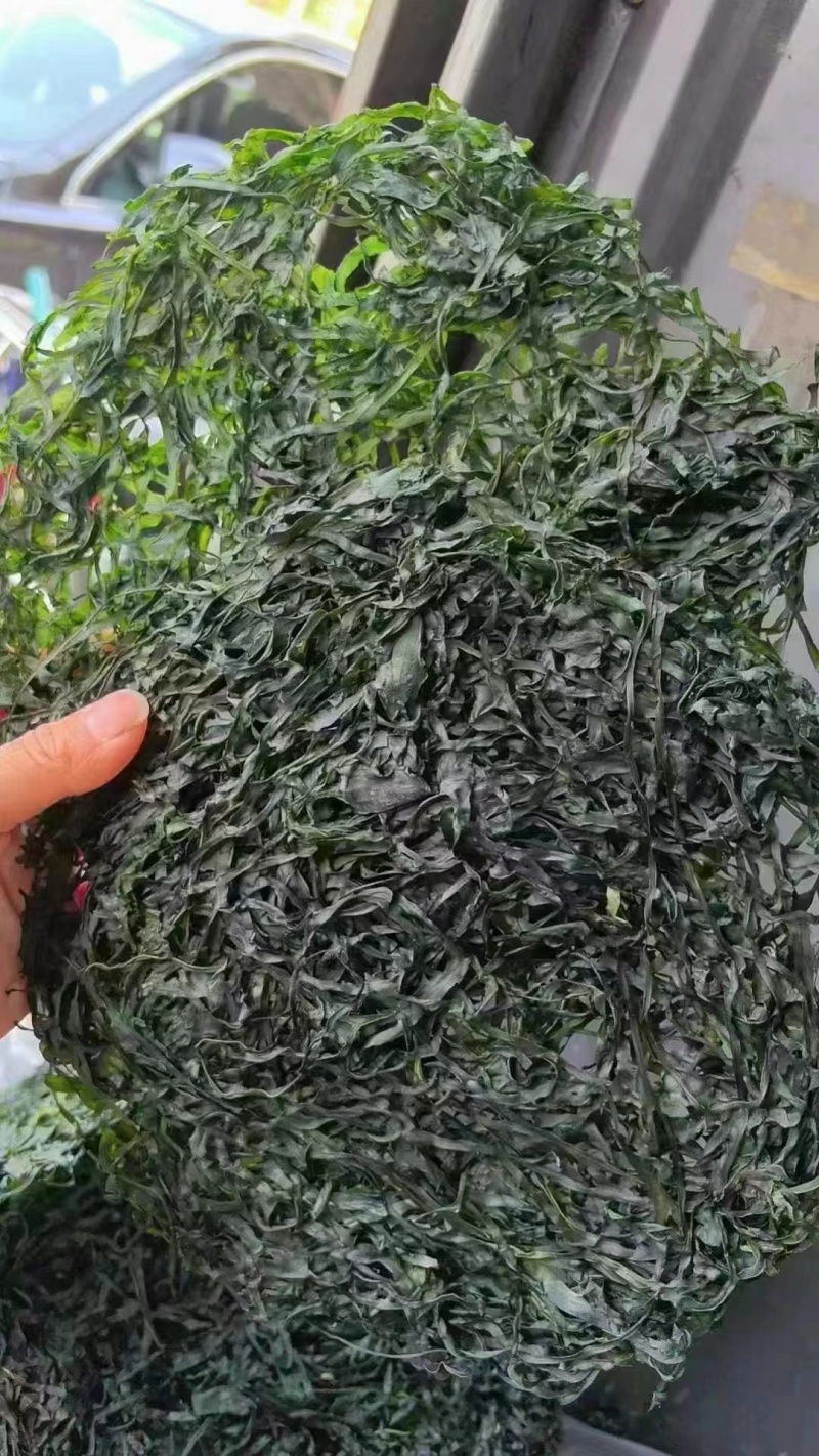 烘干圈圈海带丝颜色绿无沙无盐泡发率高10元模