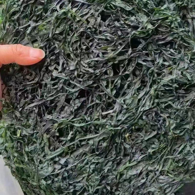 烘干圈圈海带丝颜色绿无沙无盐泡发率高10元模