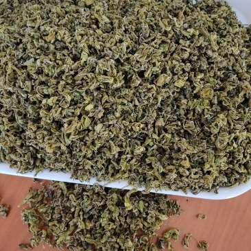 黄金芽