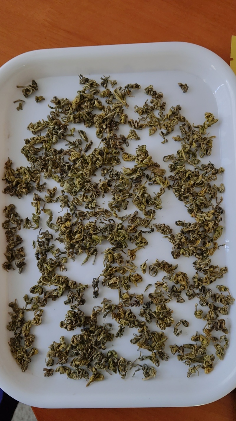 黄金芽
