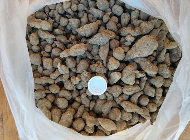 三叶青；一手货源；大量供应；全检合格