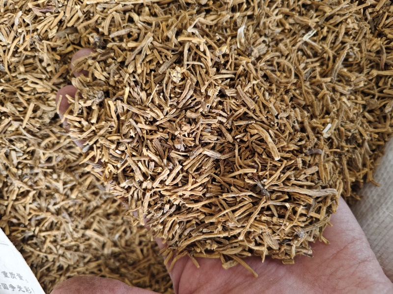 北龙胆草中药材无硫多年生辽宁北龙胆规格齐全量大从优