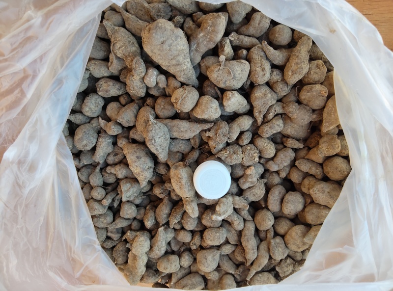 三叶青；大量供应；产地直销；现货供应；质量有保证