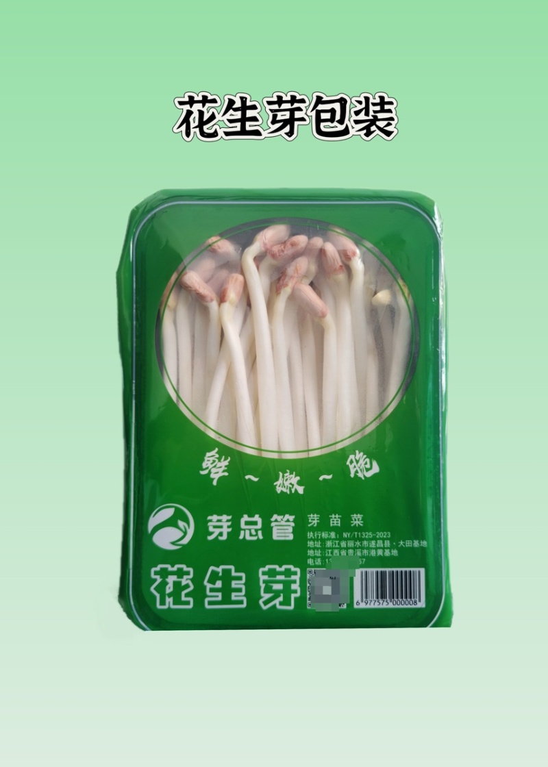 浙江花生芽精品货自有培育基地大量现货供应欢迎咨询下单