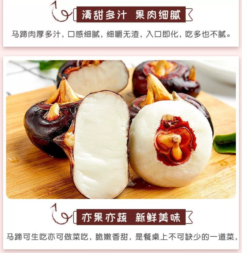 专业无为马蹄代办直销对接各大批发市场电商精品果