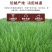 专业无为马蹄代办直销对接各大批发市场电商精品果
