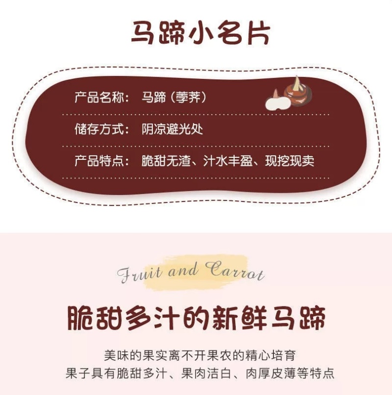 专业无为马蹄代办直销对接各大批发市场电商精品果