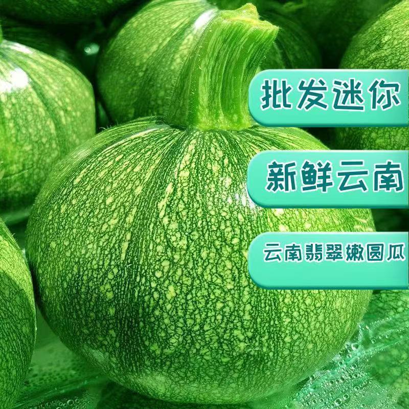 云南高山嫩南瓜整箱现挑坏果包赔绿皮新鲜超南瓜时令蔬