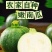 云南高山嫩南瓜整箱现挑坏果包赔绿皮新鲜超南瓜时令蔬