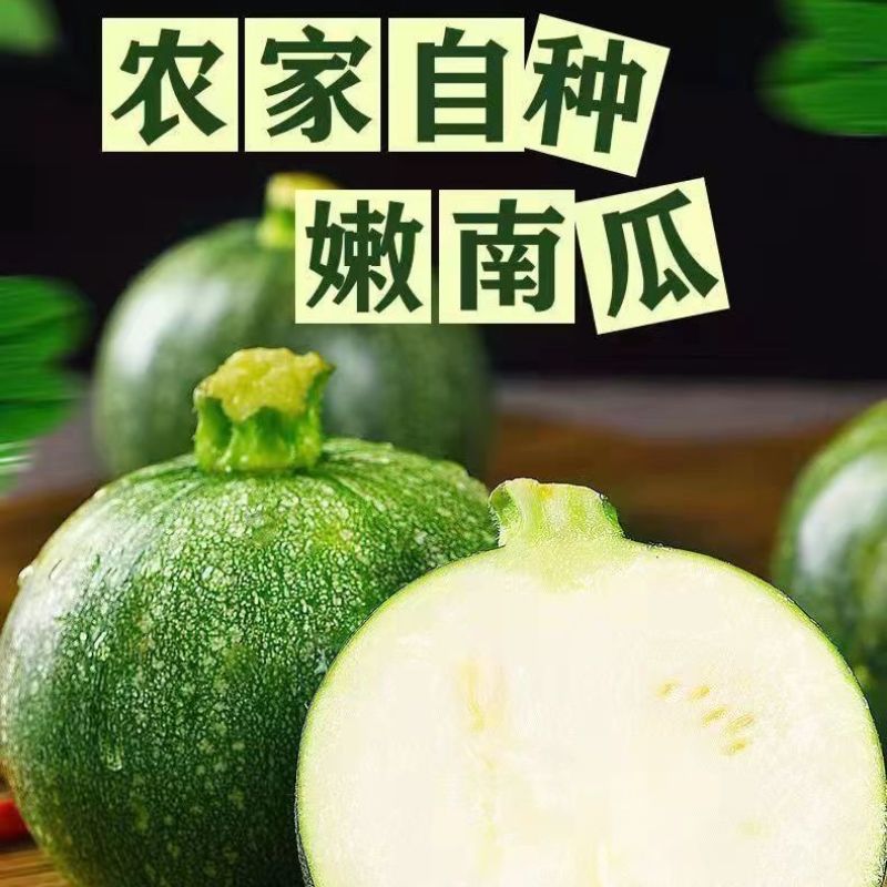 云南高山嫩南瓜整箱现挑坏果包赔绿皮新鲜超南瓜时令蔬