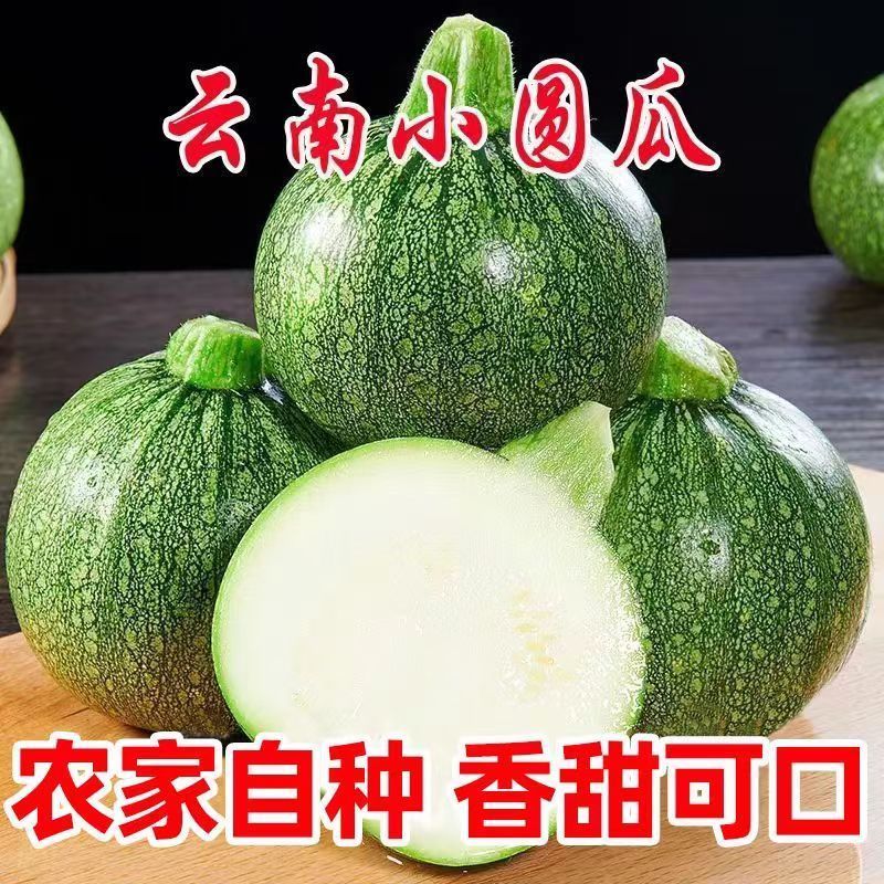 云南高山嫩南瓜整箱现挑坏果包赔绿皮新鲜超南瓜时令蔬