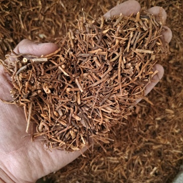南龙胆草中药材云南龙胆草新货无硫切段批发