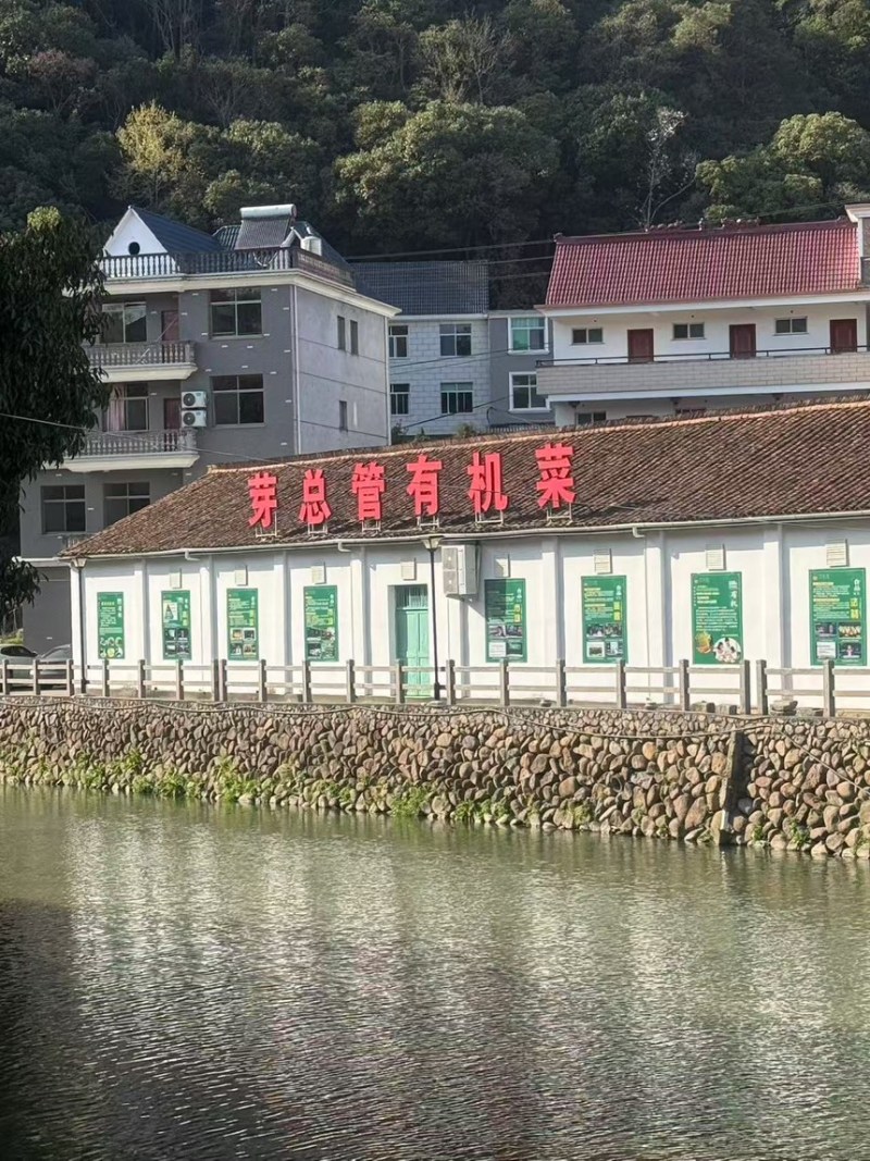 花生芽精品货厂家直发可按需包装大量现货供应全国