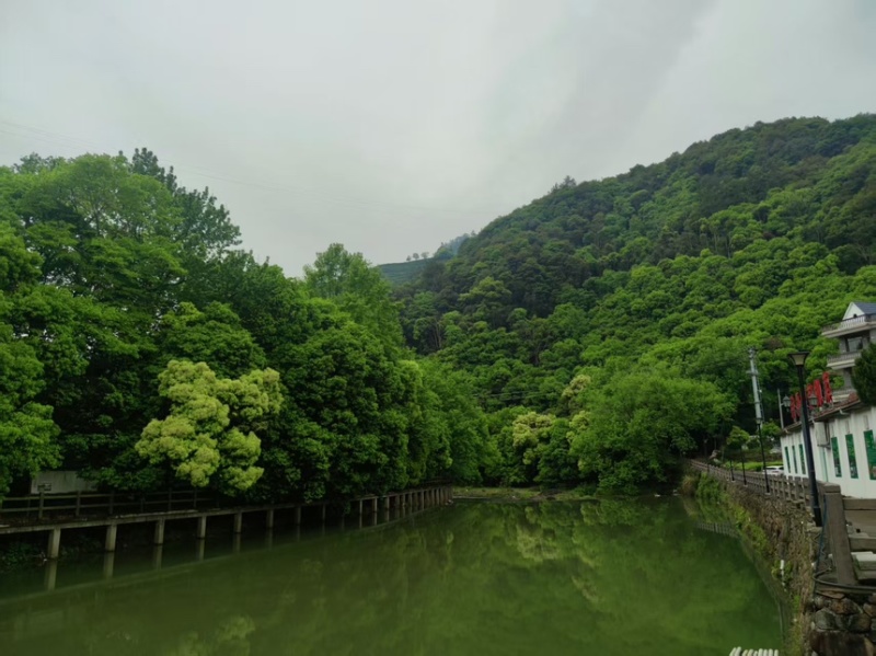 浙江花生芽精品货自有培育基地大量现货供应欢迎咨询下单