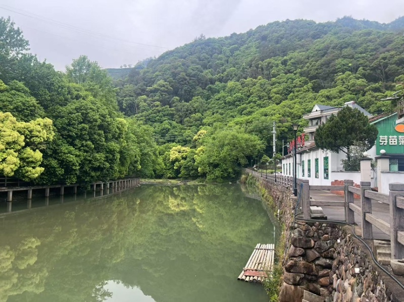 浙江花生芽精品货自有培育基地大量现货供应欢迎咨询下单