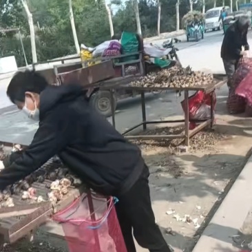 量大