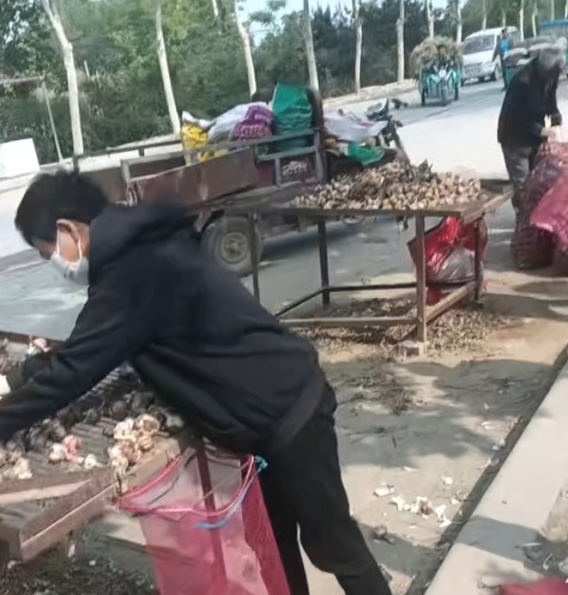 量大