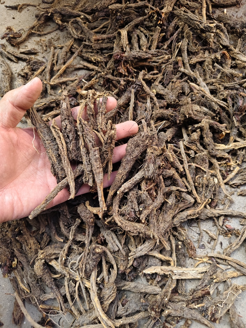 中药材干货甘松全草水洗甘松根品质保障量大价钱可议