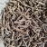 中药材干货甘松全草水洗甘松根品质保障量大价钱可议