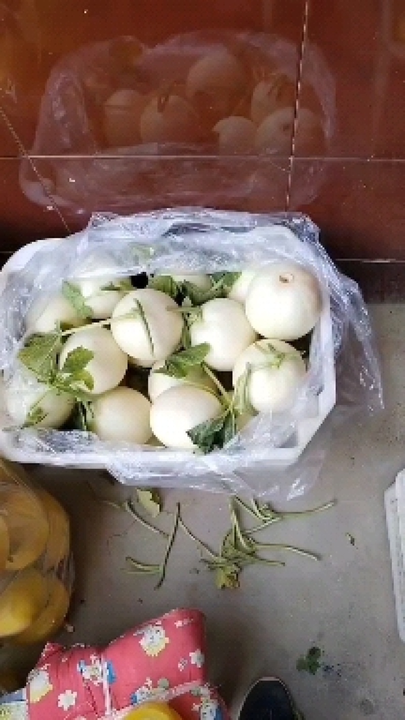 精品甜瓜源头产地，全国可发，价格透明，可视频看货