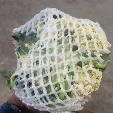 有机花菜大量现货