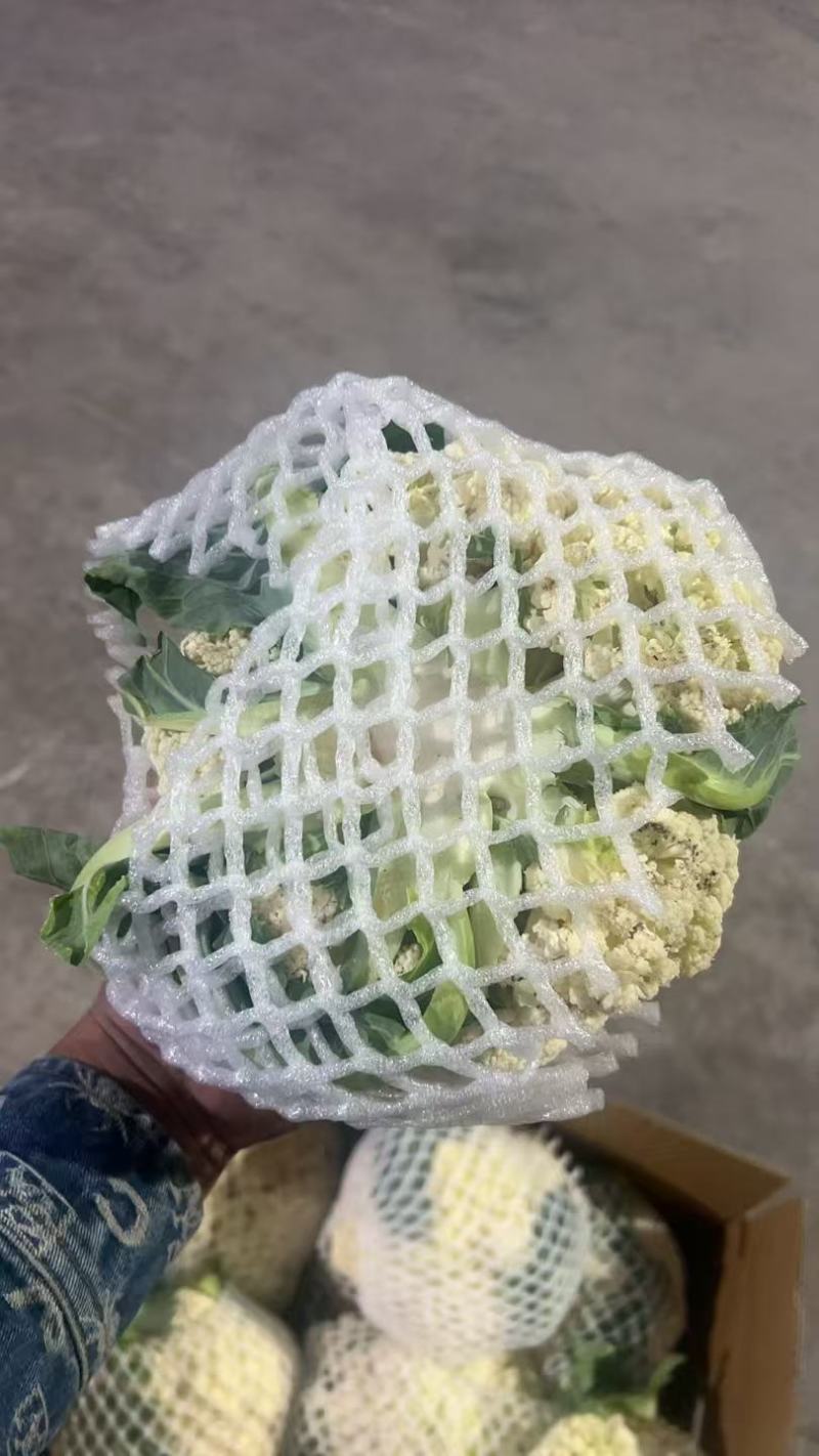 有机花菜大量现货