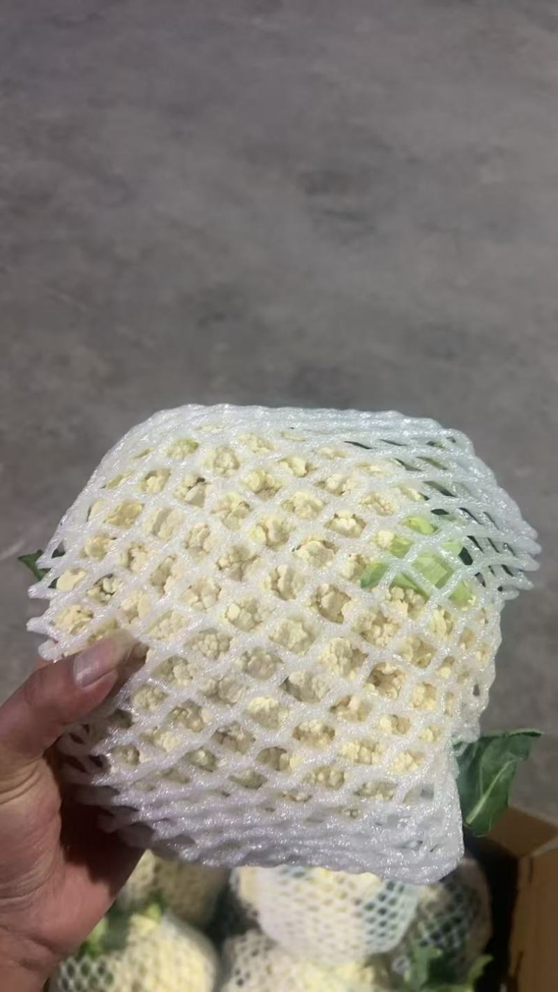 有机花菜大量现货