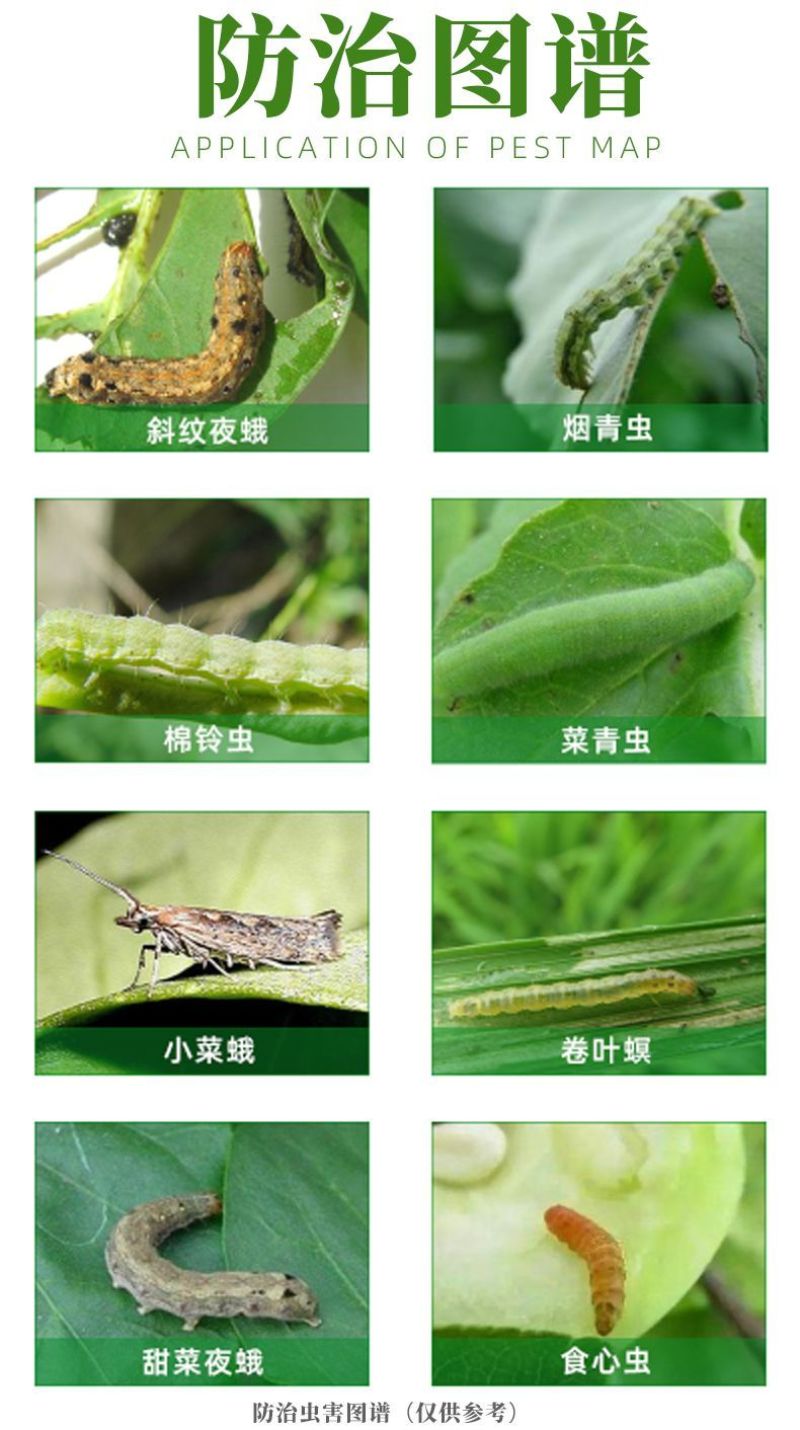 30%虫螨腈氯虫苯甲酰胺蔬菜水稻卷叶螟果树稻纵钻心虫