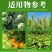 30%虫螨腈氯虫苯甲酰胺蔬菜水稻卷叶螟果树稻纵钻心虫