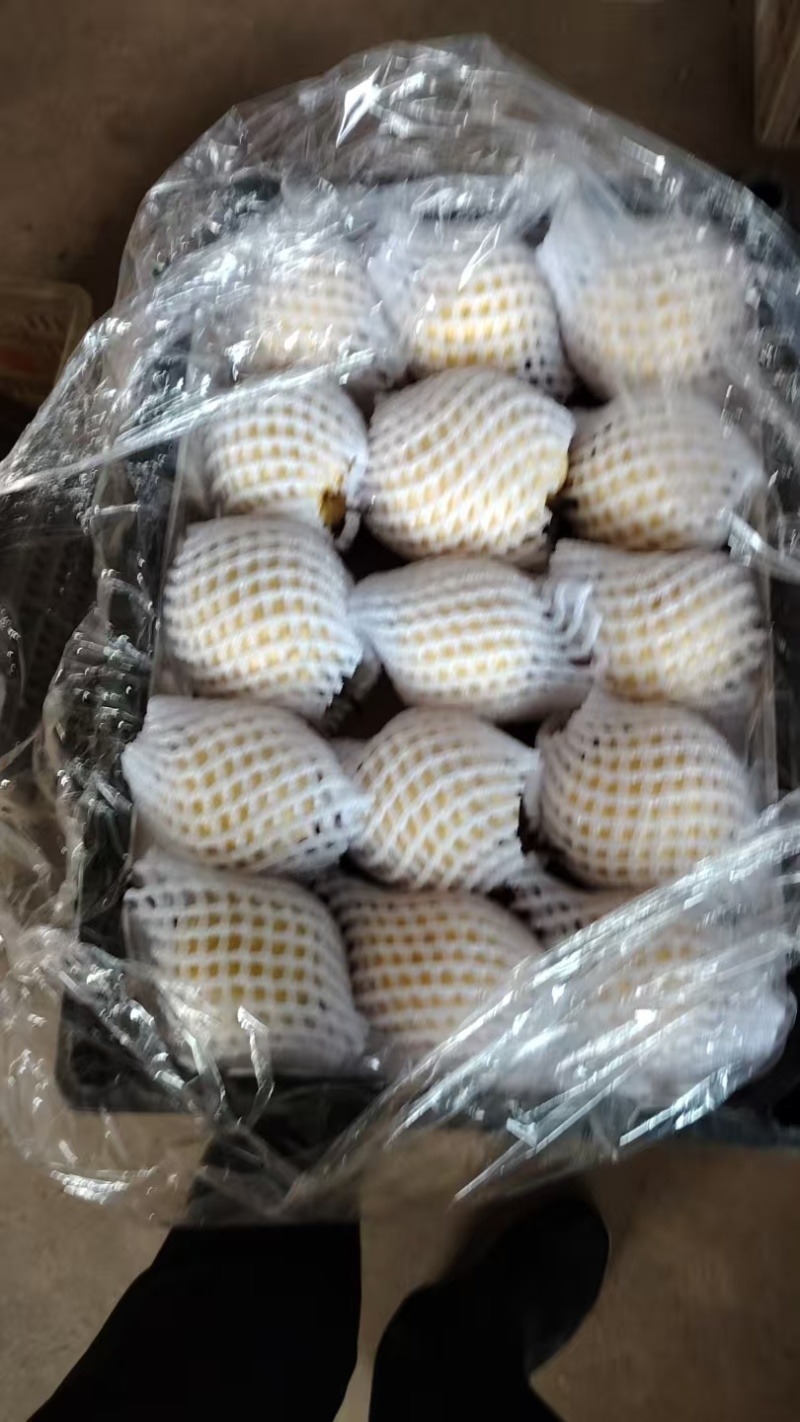 山西酥梨小酥梨电商货成品货框装套网，代发全国