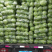 【推荐】河南精品中甘甘蓝大量接单产地直发量大从优