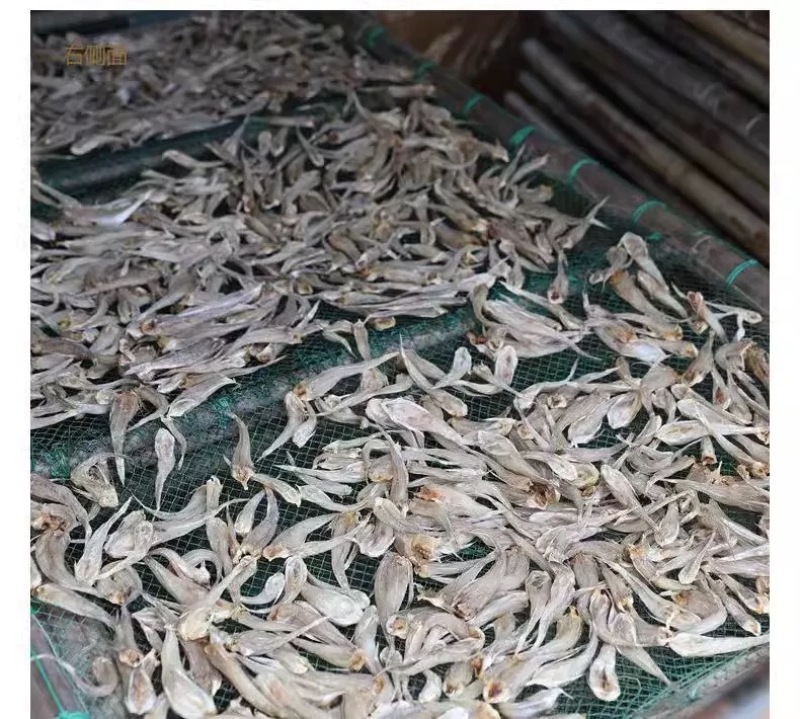 沙丁鱼鱼干，跑江湖爆品