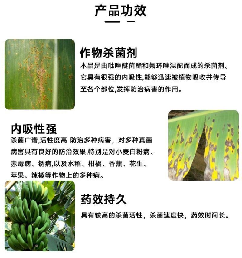 35%唑醚氟环唑玉米大斑病锈病白粉病叶正品唑醚氟环唑批发