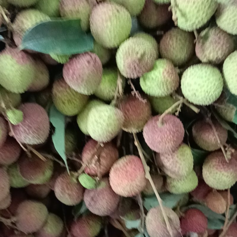 荔枝
