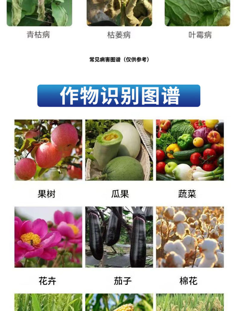 30%肟菌戊唑醇杀菌剂肟菌酯戊唑醇水稻稻曲病专用药