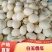 广东白玉甜瓜/市场货电商货都有/瓜肉脆甜/大量货源！