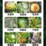 43%硅唑咪鲜胺农药杀菌剂炭疽病白粉病叶斑锈病疫病果树
