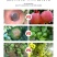 43%硅唑咪鲜胺农药杀菌剂炭疽病白粉病叶斑锈病疫病果树