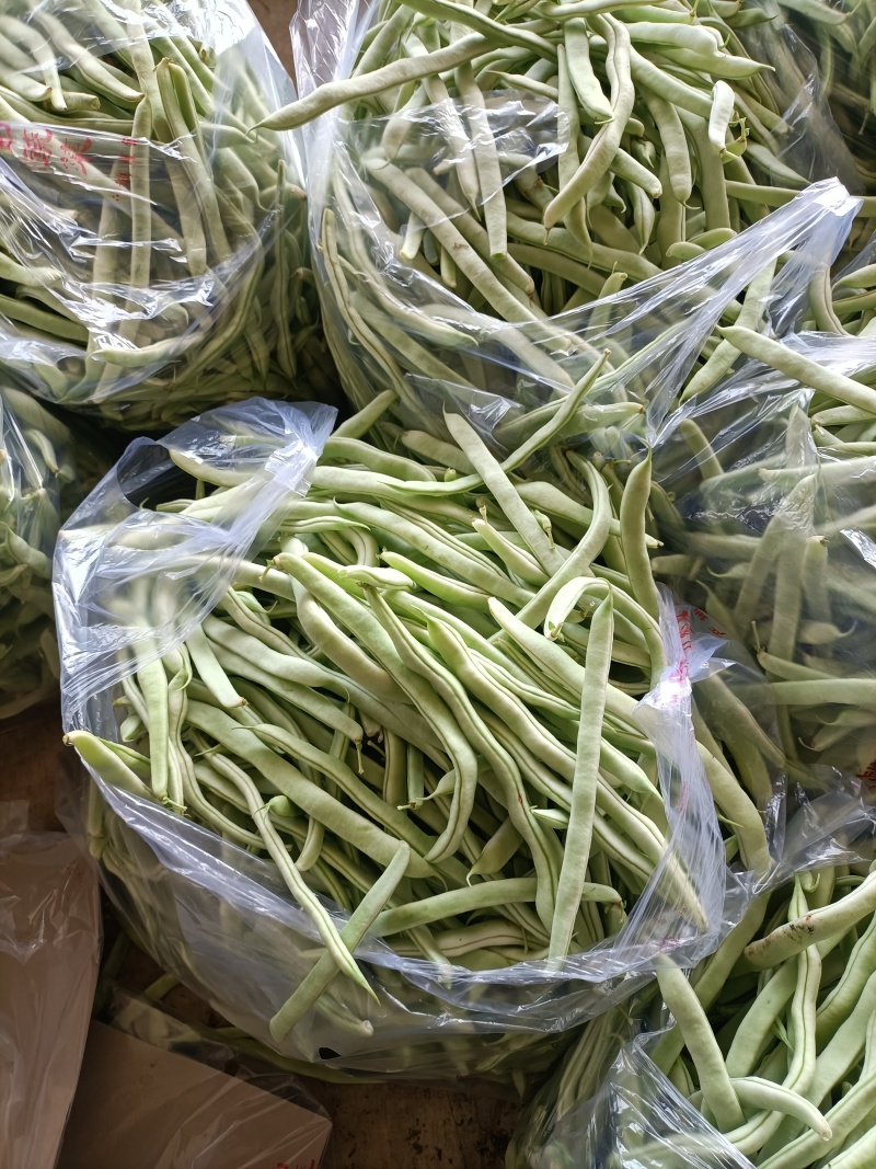 望新老客户老板来电订购大量有货