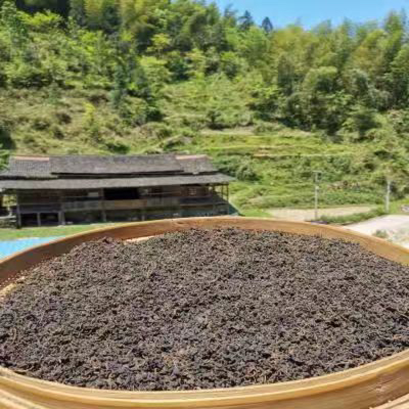 青钱柳茶叶可批发可零售全国发货欢迎联系