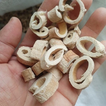 桑白皮全刮皮半刮皮毛皮个子片丝