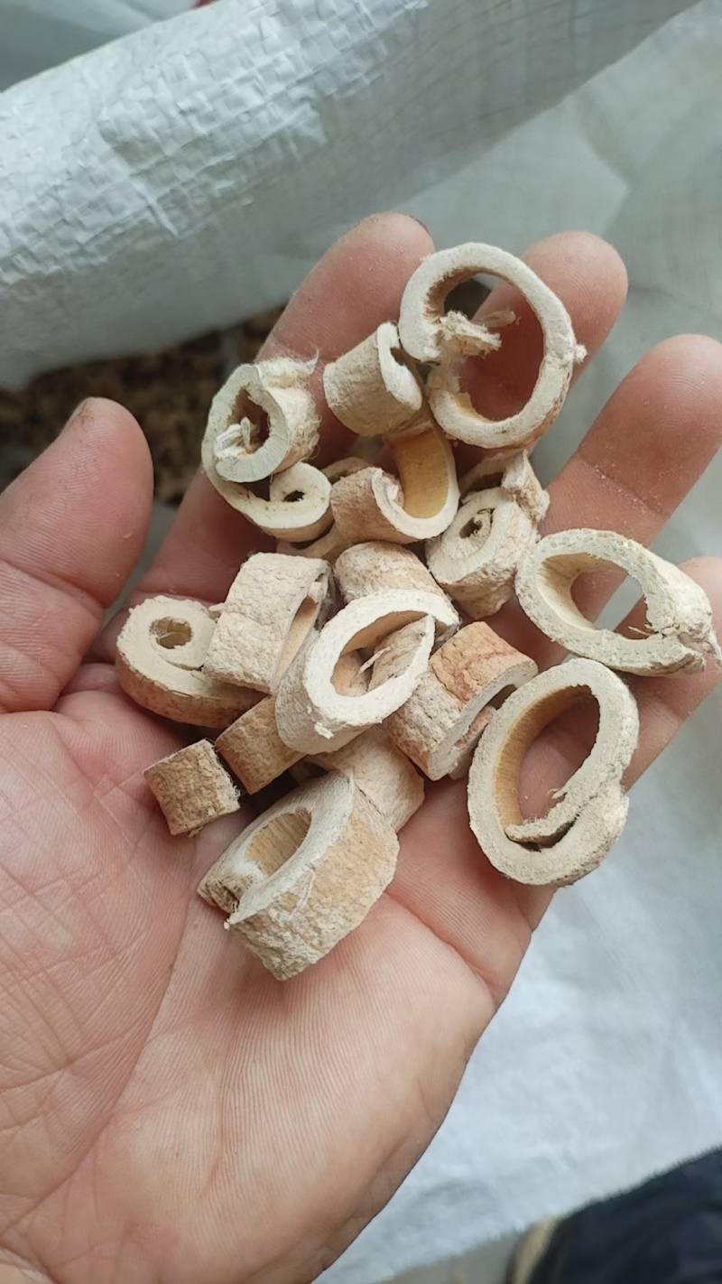 桑白皮全刮皮半刮皮毛皮个子片丝