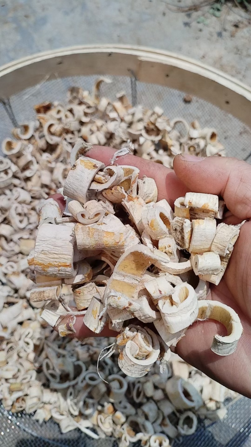 桑白皮全刮皮半刮皮毛皮个子片丝