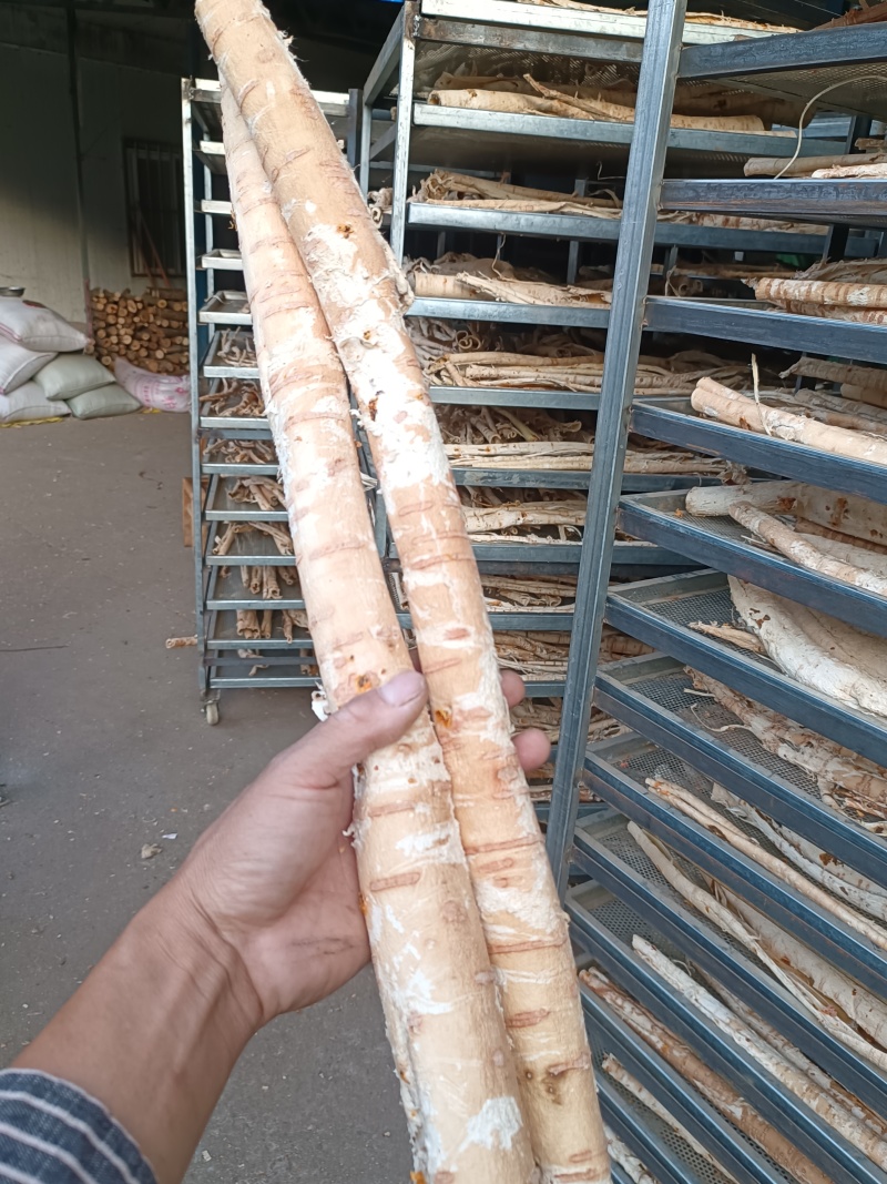 桑白皮全刮皮半刮皮毛皮个子片丝