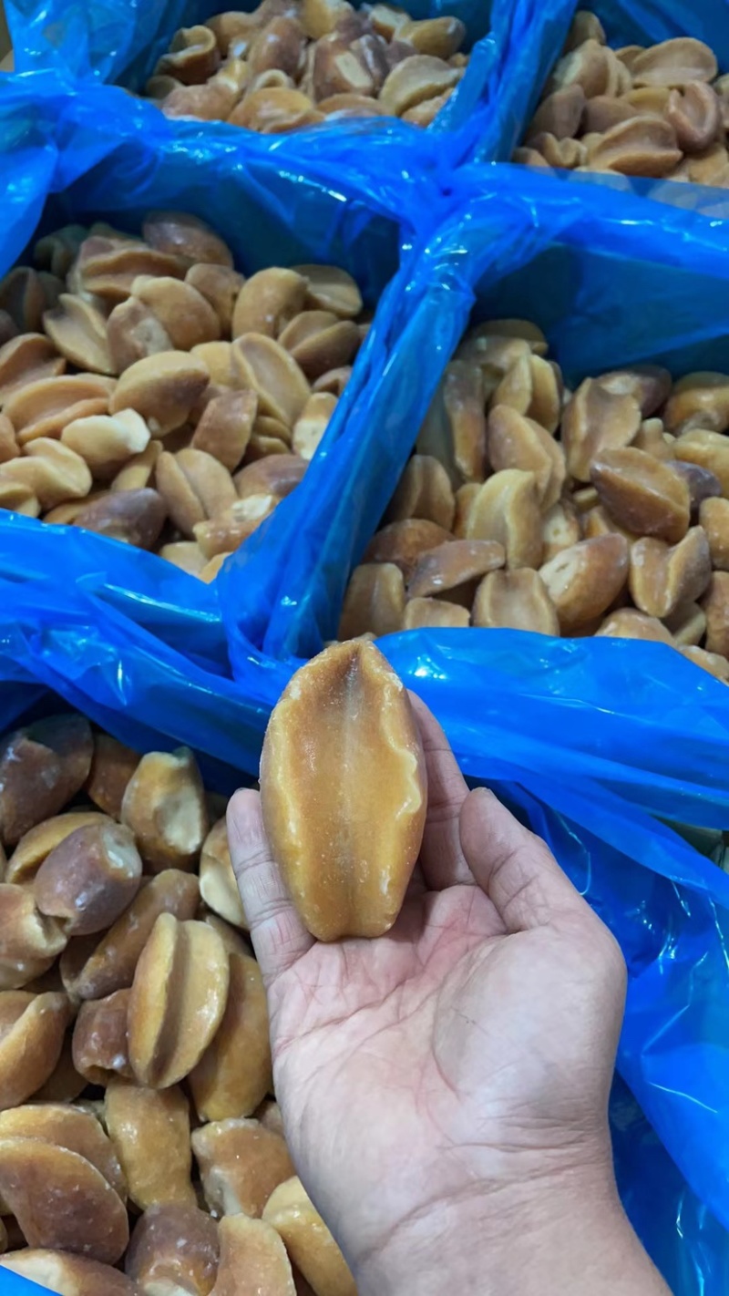 黄金鲍螺肉黄金澳鲍肉捞汁食材酒店海鲜自助食材海鲜批发